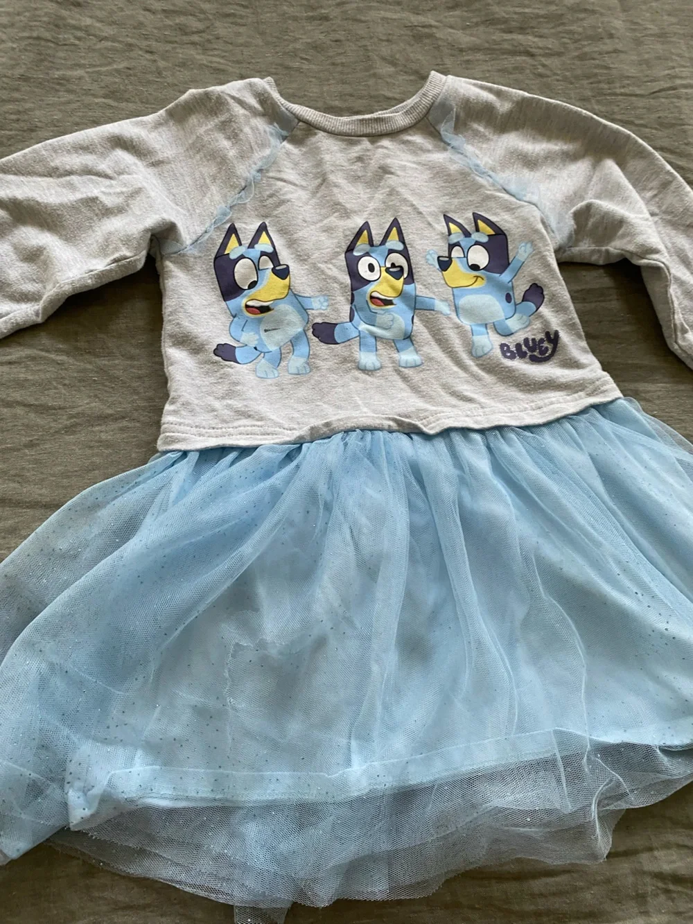 Twin Bluey tulle dresses, 5T.